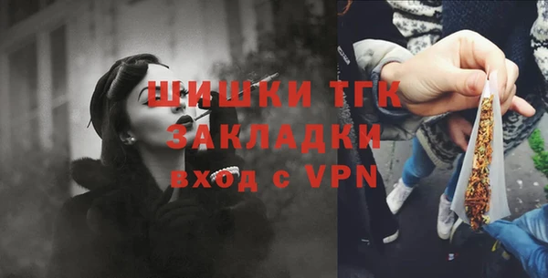 гидра Бронницы