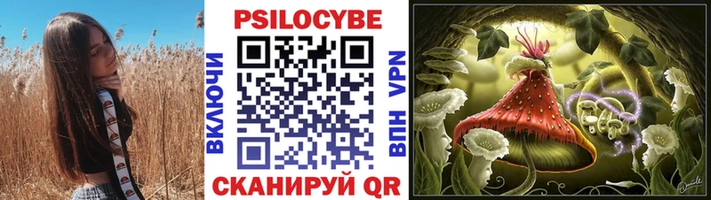 Галлюциногенные грибы мицелий  купить закладку  Гаджиево 