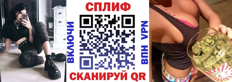 Конопля Ganja  Гаджиево 